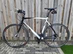 Koga Miyata Roadchamp racefiets framemaat 60, Ophalen, 28 inch, Gebruikt, 57 tot 61 cm