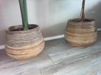 2 stuks grote rotan binnen potten, Overige materialen, 40 cm of meer, Rond, Binnen