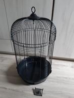 Kooi + 5 verschillende rekjes, 2 waterbakjes, Ophalen, Gebruikt, Kooi, Minder dan 60 cm