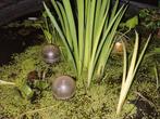 Zeer gave vijver verlichting - 3 drijvende bollen - lamp ., Tuin en Terras, Ophalen of Verzenden, Gebruikt, Vijververlichting
