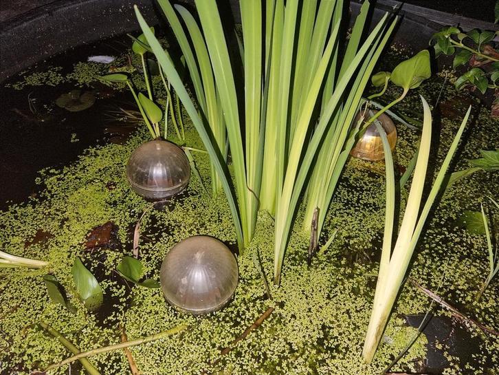 Zeer gave vijver verlichting - 3 drijvende bollen - lamp ., Tuin en Terras, Vijver-toebehoren, Gebruikt, Vijververlichting, Ophalen of Verzenden
