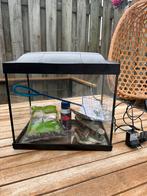 Aquarium 20 Liter met verschillende toebehoren, Ophalen, Zo goed als nieuw, Leeg aquarium