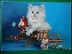 (808) Dierenkaart: POES, Verzamelen, Ansichtkaarten | Dieren, Verzenden, Gelopen, Hond of Kat