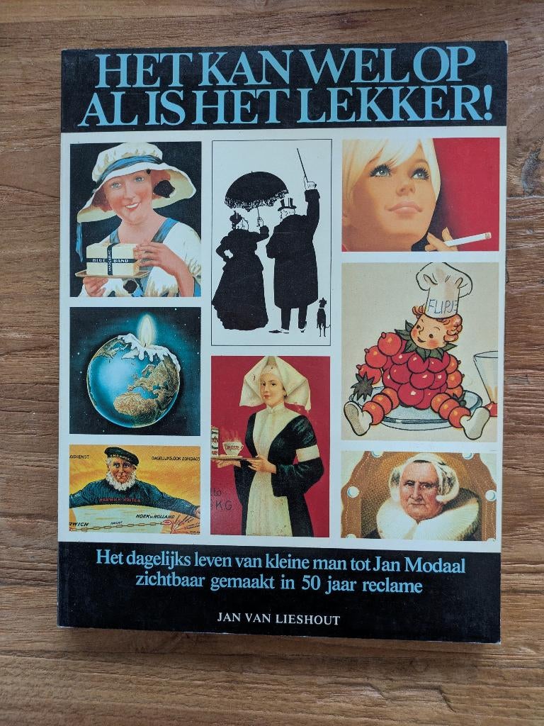 Het kan wel op al is het lekker!, Boeken, Geschiedenis | Stad en Regio, Ophalen of Verzenden, Zo goed als nieuw