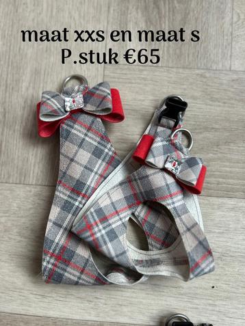 Susan lanci xxs en maat s beschikbaar voor biedingen