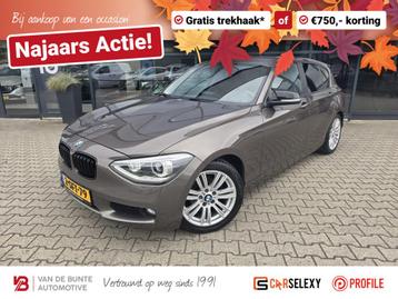 BMW 1-serie 116i EDE Executive *Trekhaak & Nieuwe Ketting* beschikbaar voor biedingen