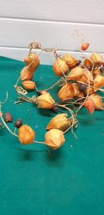 gedroogde tak, Ophalen of Verzenden, 'T Olde Gre-j, Info@toldegrej.nl, Endepoelstraat 20f Didam