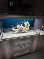 ZGAN COMPLEET AQUARIUM, Dieren en Toebehoren, Ophalen, Zo goed als nieuw, Leeg aquarium