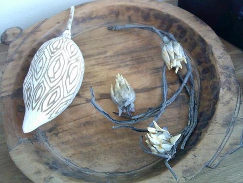 Decoratie BAOBABfruit decoratie fruit boho decoratie natura, Huis en Inrichting, Woonaccessoires | Overige, Gebruikt, Ophalen of Verzenden