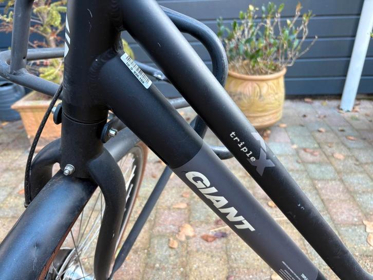 Giant Omafiets - Weinig gebruikt!, Fietsen en Brommers, Fietsen | Dames | Damesfietsen, Zo goed als nieuw, Giant, Versnellingen