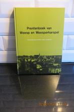 Prentenboek van Weesp en Weesperkaspel, Boeken, Geschiedenis | Stad en Regio, 19e eeuw, Ophalen of Verzenden, Zo goed als nieuw