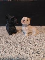 West highland en schotse terrier, Ophalen of Verzenden, Dier