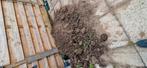 Tuinaarde/kleigrond, Tuin en Terras, Aarde en Mest, Ophalen, Tuinaarde