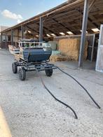 Recreatie menwagen/kar, Dieren en Toebehoren, Paarden, Ruin, Recreatiepaard
