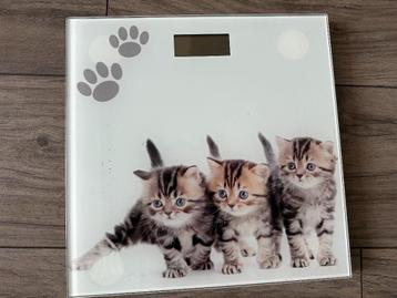 Weegschaal met kittens beschikbaar voor biedingen