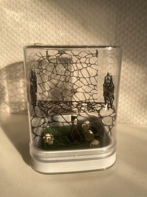 Springspin terrarium schedel 12x12x15cm spooky spinnenweb, Dieren en Toebehoren, Insecten en Spinnen, Spin of Schorpioen
