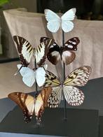 Stolp rechthoekig met vlinders, Zo goed als nieuw, Ophalen