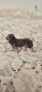 Antiek Miniatuur Hondje, Ophalen of Verzenden, Gebruikt