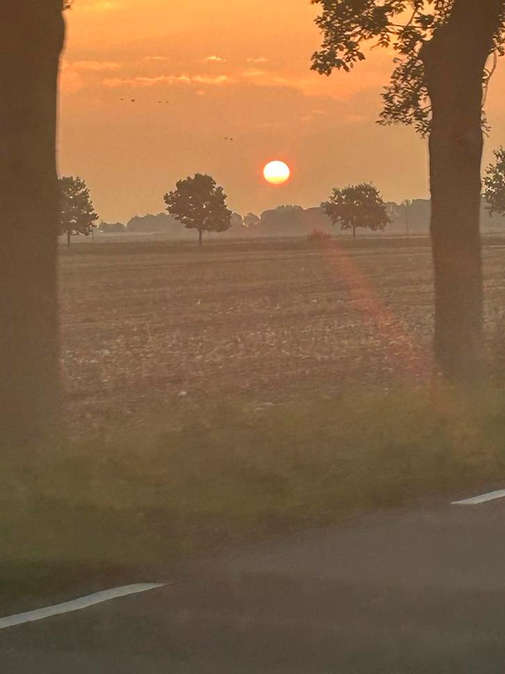 Ervaren schoonmaakster zoekt werk in Haarlem e.o., Vacatures, Vacatures | Schoonmaak en Facilitaire diensten