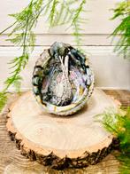 Smudge set abalone met witte salie, Ophalen of Verzenden, Mineraal