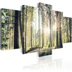 658 Natuur Bos Zonlicht 5 Luik Canvas Schilderij 200x100cm, Ophalen of Verzenden