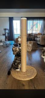 Krabpaal district 70 90 cm, Ophalen of Verzenden, Zo goed als nieuw, Krabpaal