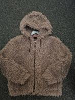 Teddy jas L, Kleding | Dames, Bodywarmers, Ophalen of Verzenden, Zo goed als nieuw