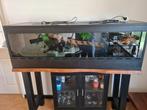 Terrarium (groot), Dieren en Toebehoren, Ophalen, Zo goed als nieuw, Terrarium of Paludarium