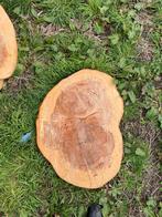 Boomstamschijven beuken diverse maten, Doe-het-zelf en Verbouw, Hout en Planken, Nieuw, Beuken, Ophalen of Verzenden, Minder dan 200 cm