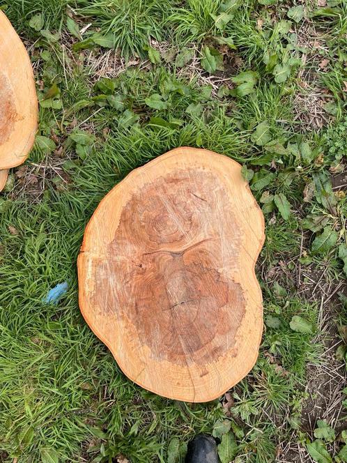 Boomstamschijven beuken diverse maten, Doe-het-zelf en Verbouw, Hout en Planken, Nieuw, Beuken, Minder dan 200 cm, Ophalen of Verzenden