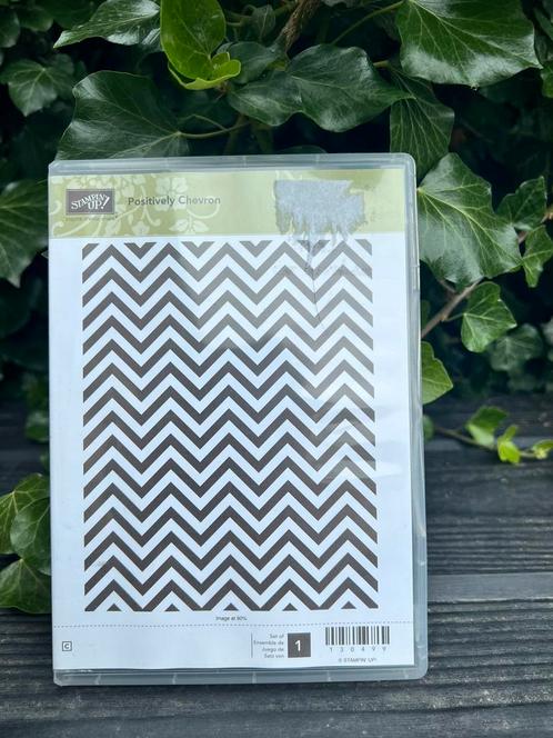 Stampin Up! Positively Chevron, Hobby en Vrije tijd, Stempelen, Zo goed als nieuw, Ophalen of Verzenden