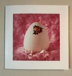 Sanne 7-3-2000, Anne Geddes Intercard 15011, Ophalen of Verzenden, 2000 tot heden