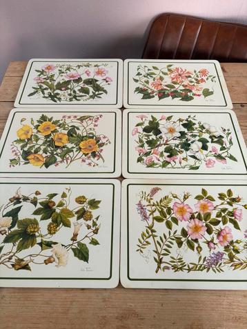 Clover Leaf beschikbaar voor biedingen