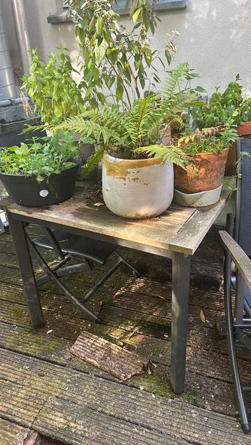 Tuinmeubelset (tafel en 6 stoelen) beschikbaar voor biedingen