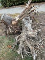 Gratis Boomstronken boomstam voor kachelhout - Zwaar!, Doe-het-zelf en Verbouw, Hout en Planken, Ophalen, Gebruikt, Overige typen