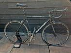Sensa trentino SL 56 cm, Gebruikt, Aluminium, Meer dan 20 versnellingen, 53 tot 57 cm