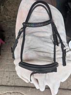 Kieffer hoofdstel* full*, Ophalen of Verzenden, Zo goed als nieuw, Dressuur