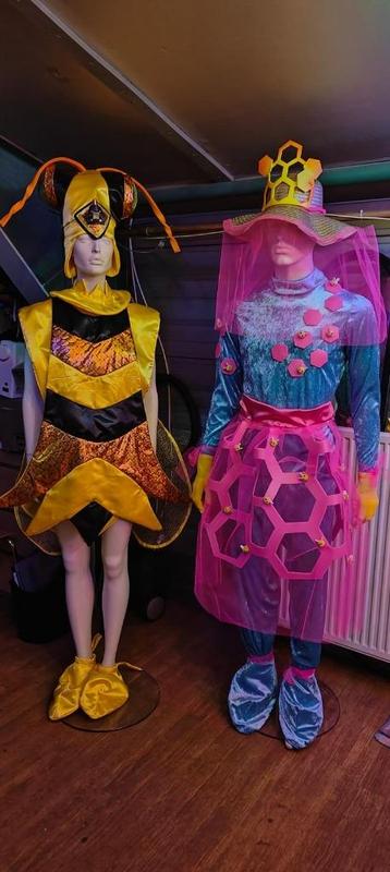 Carnavalspakken voor loopgroep: thema bijen & imkers beschikbaar voor biedingen