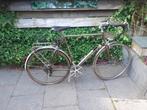 Gazelle, 59 cm of meer, Ophalen, Gazelle, Jaren '60 of nieuwer