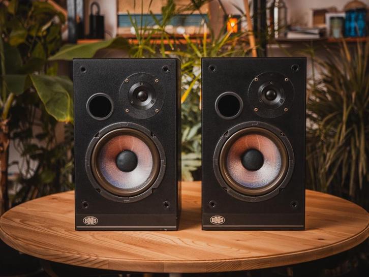 BNS | E14 Luidsprekers, Audio, Tv en Foto, Luidsprekers, Refurbished, Front, Rear of Stereo speakers, 60 tot 120 watt, Overige merken