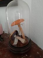 Antieke stolp met paddestoelen, Ophalen of Verzenden