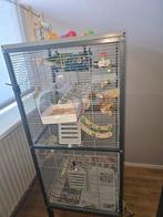 Mooie kooi met 2 catarina parkieten, Ophalen, Zo goed als nieuw, Vogelkooi