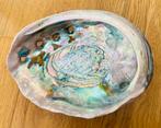 Extra grote Abalone Schelp -21cm, Ophalen of Verzenden, Schelp(en)