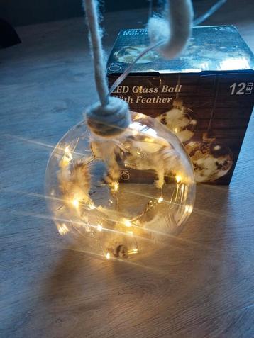 Glazen bol met verlichting en veertjes, diameter 15cm beschikbaar voor biedingen