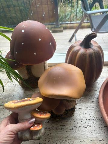 Herfst decoratie 4x alleen ophalen. Gips/steen beschikbaar voor biedingen