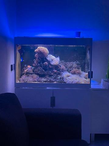 Zee aquarium  beschikbaar voor biedingen