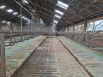 Koematrassen, Dieren en Toebehoren, Stalling en Weidegang