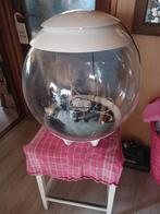 Eco terrarium, Ophalen, Zo goed als nieuw
