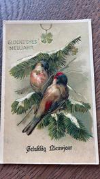 Nieuwjaar. Vogels op besneeuwde takken., Verzamelen, Ophalen of Verzenden, Voor 1920, Gelopen