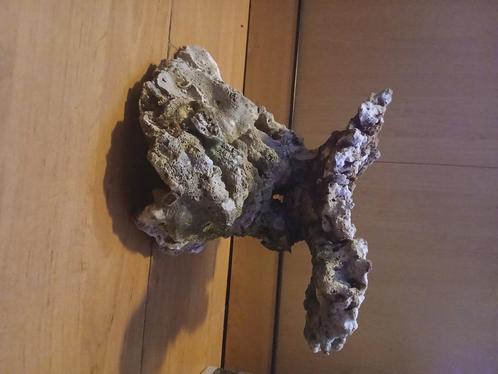 Rifpilaar,  levendsteen, zeeaqarium, zoutwater,, Dieren en Toebehoren, Vissen | Aquaria en Toebehoren, Gebruikt, Plant(en), Steen of Hout